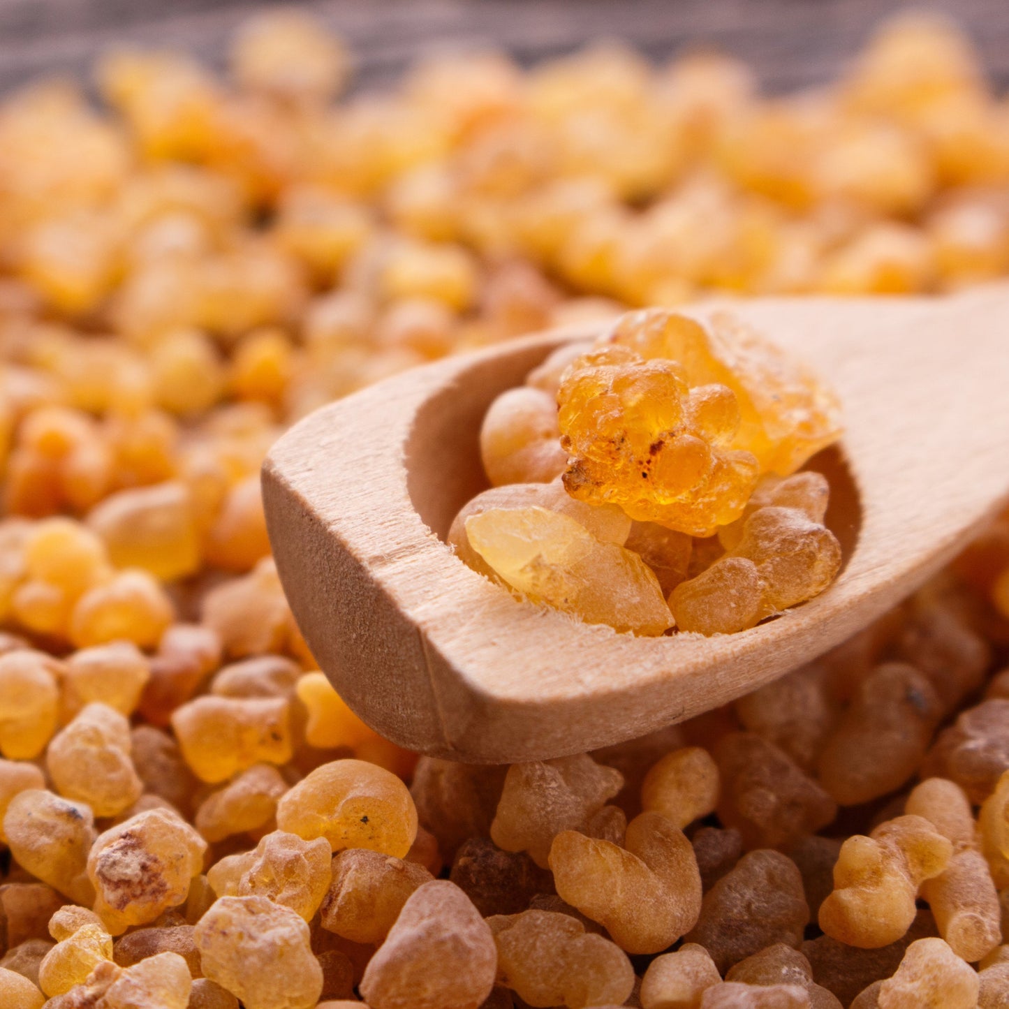 Fragrance No. 25 Hippy Styx™ Incense | Frankincense + Myrrh