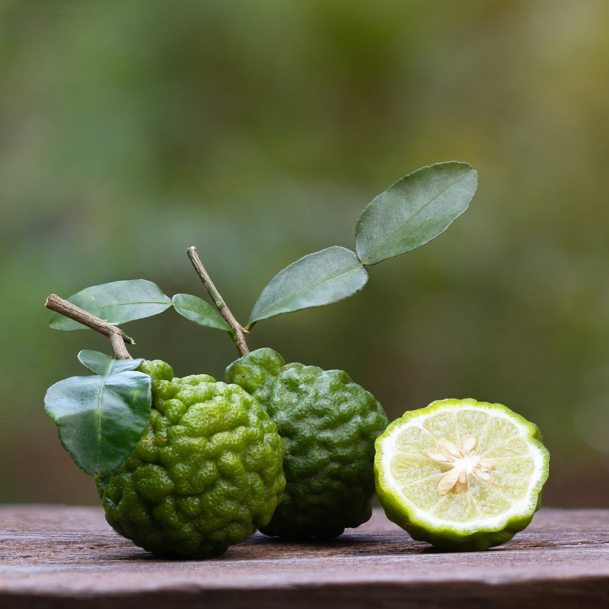 Fragrance No. 59 Hippy Styx™ Incense | Bergamot + Sandalwood