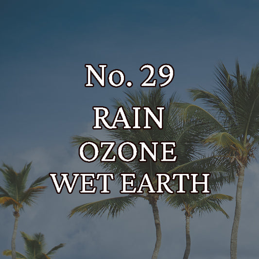 Fragrance No. 29 Hippy Styx Incense | Rain + Wet Earth
