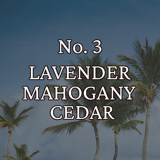 Fragrance No. 3 Hippy Styx Incense | Lavender + Mahogany