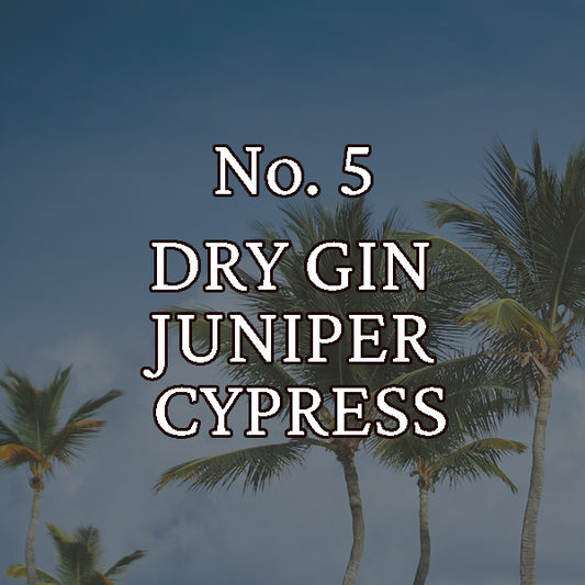Fragrance No. 5 Hippy Styx™ Incense | Dry Gin + Juniper