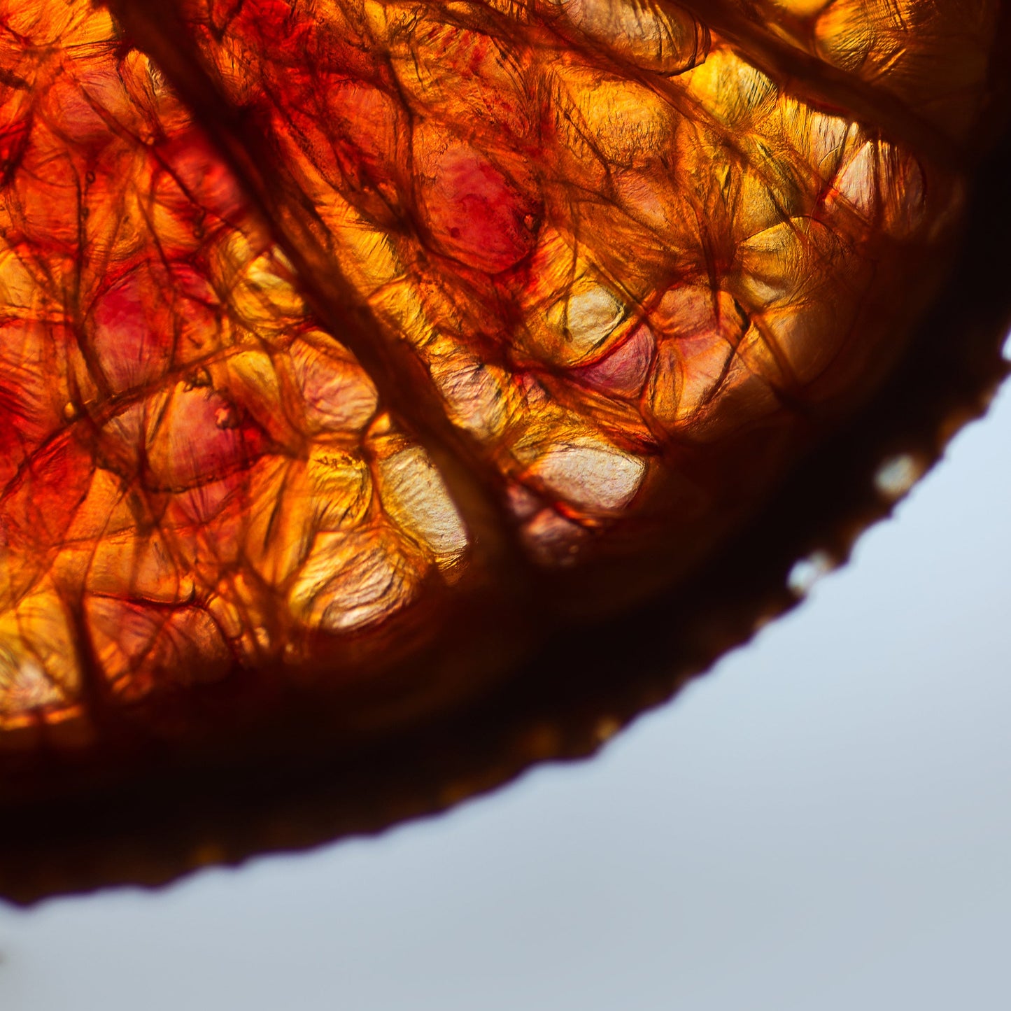 Fragrance No. 11 Hippy Styx™ Incense | Dragon's Blood + Patchouli