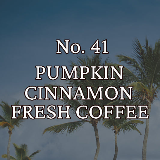 Fragrance No. 41 Hippy Styx Incense | Pumpkin + Coffee